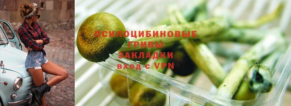 соль курить ск Михайлов