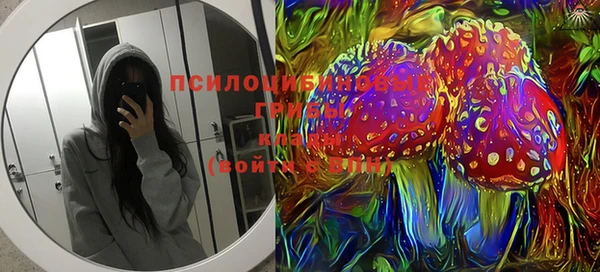 соль курить ск Михайлов